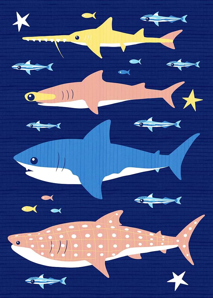 Requin