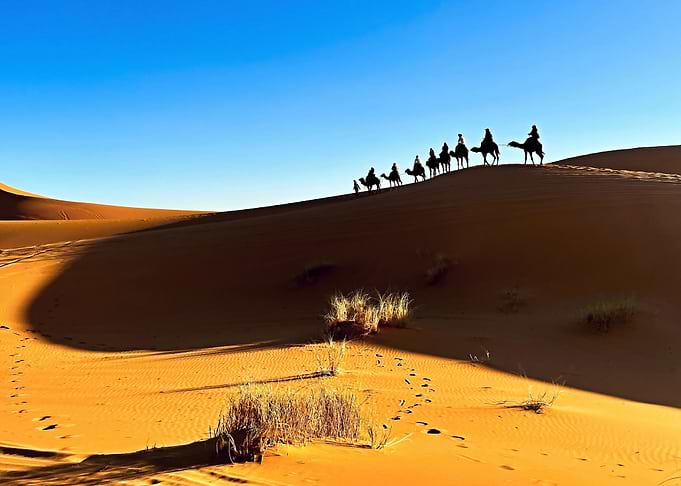 Camel ride in the desert 1