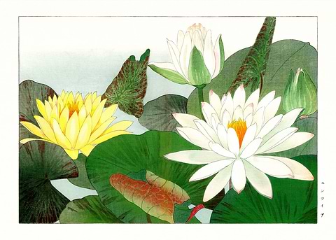 Lotus Elegance — Japanese art metal poster