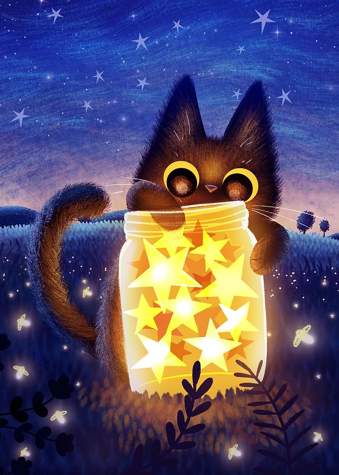 Stars and the kitten