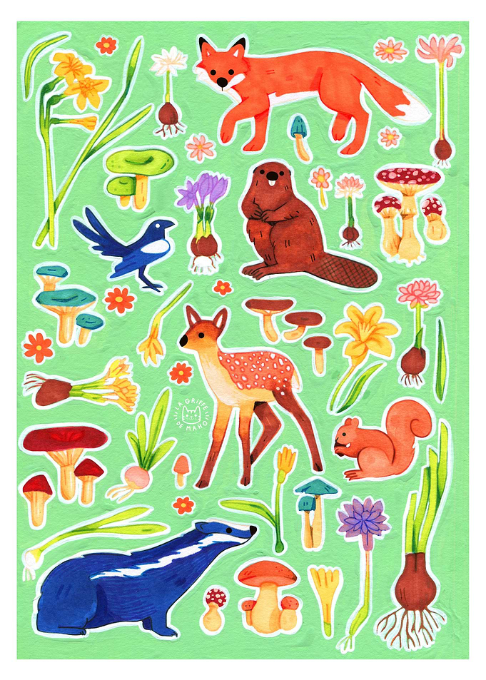 The forest