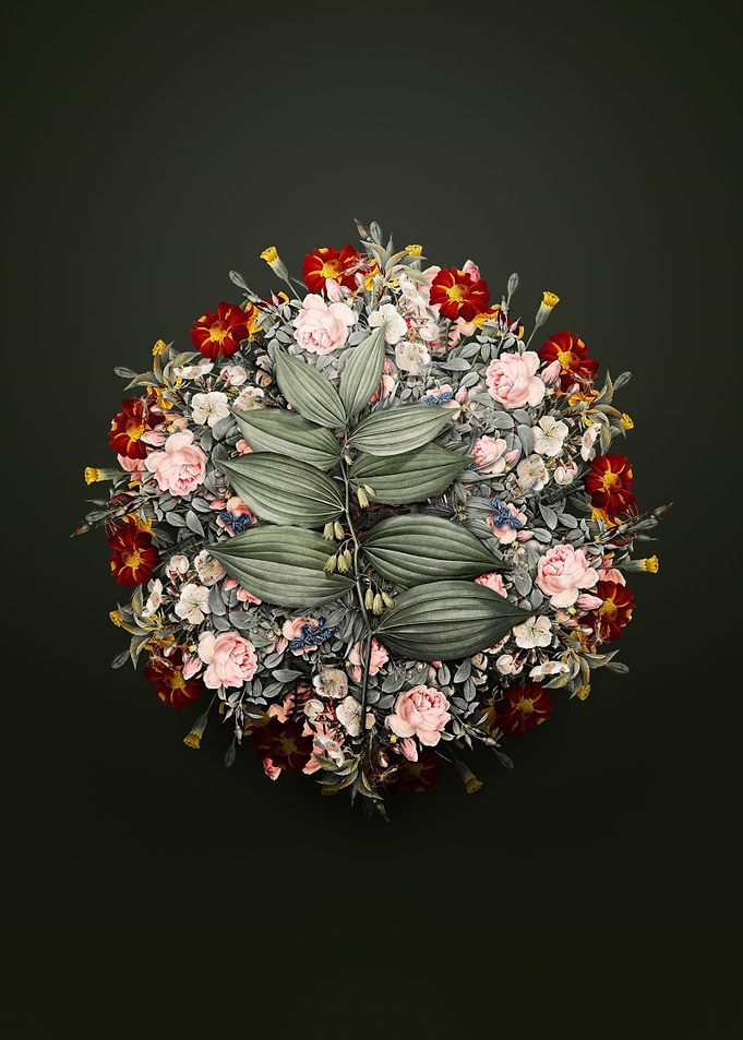 King Solomons Seal Wreath