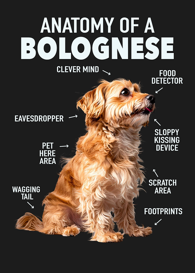 Bolognese