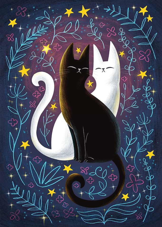 Universe of cats