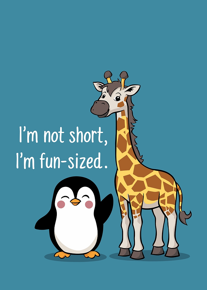 i m not short i m fun