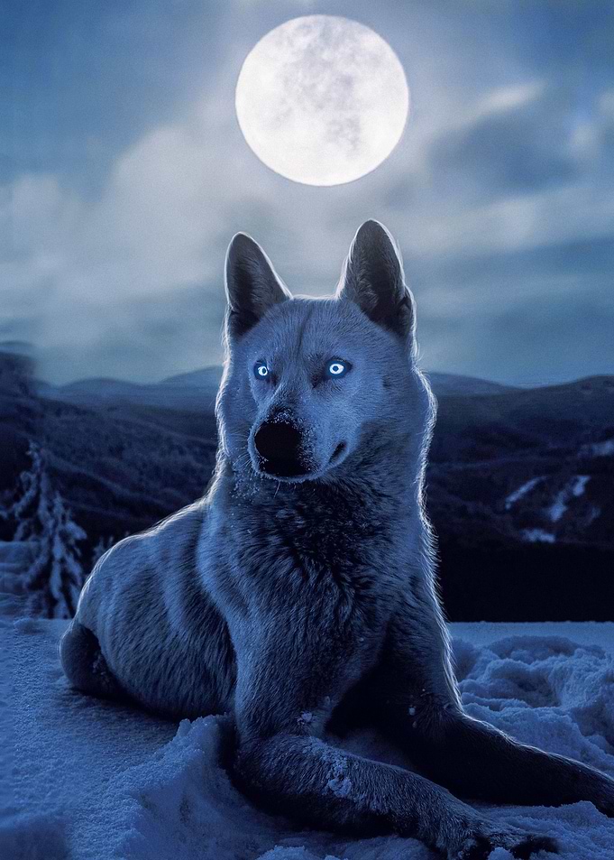 Snow Wolf Moon