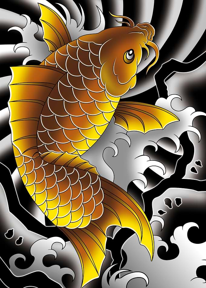 Koi Goldfish