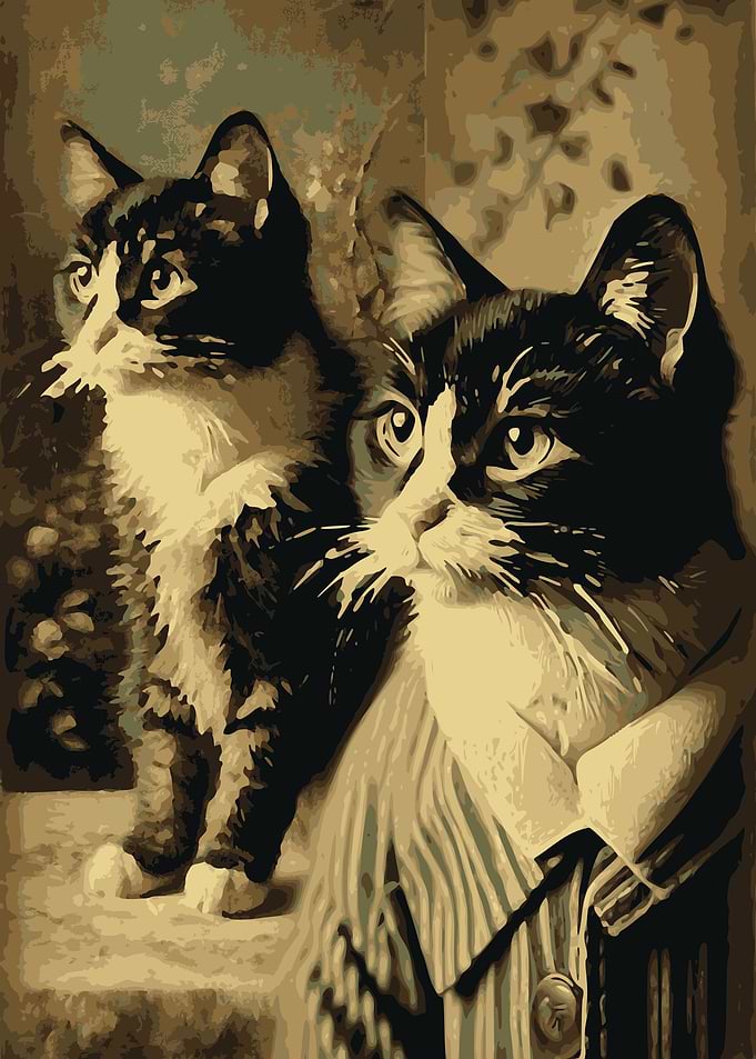 cute cat