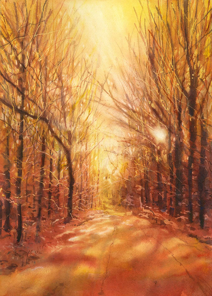 Sunny Forest watercolor