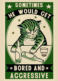 cat quote cats animal