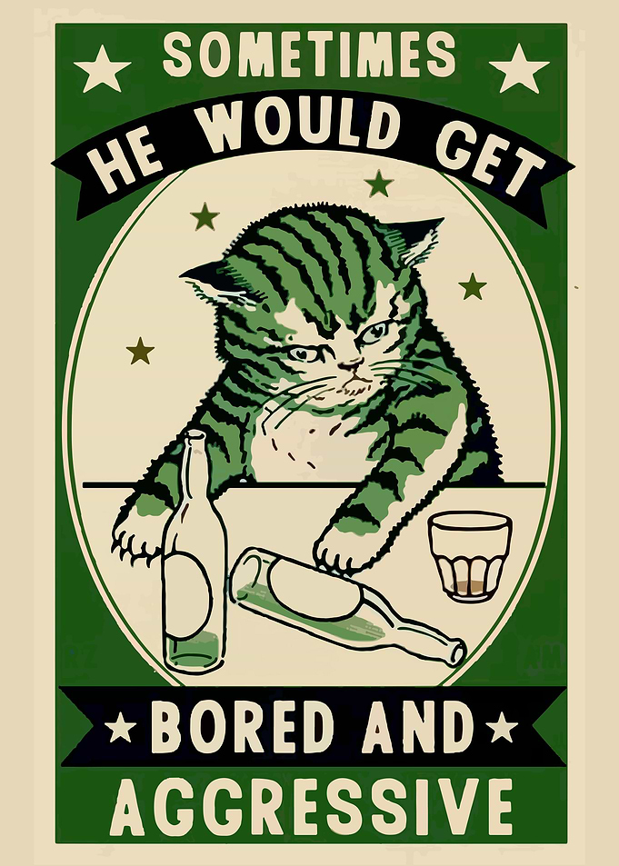 cat quote cats animal
