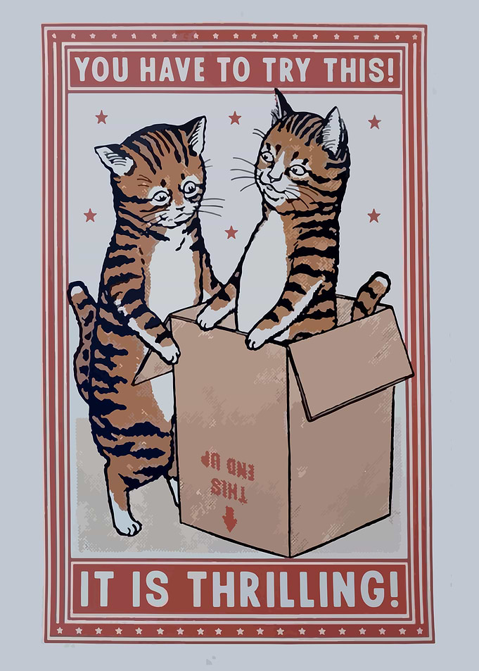 try out box
