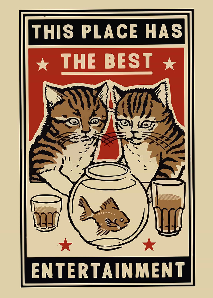 cats cute animals cat