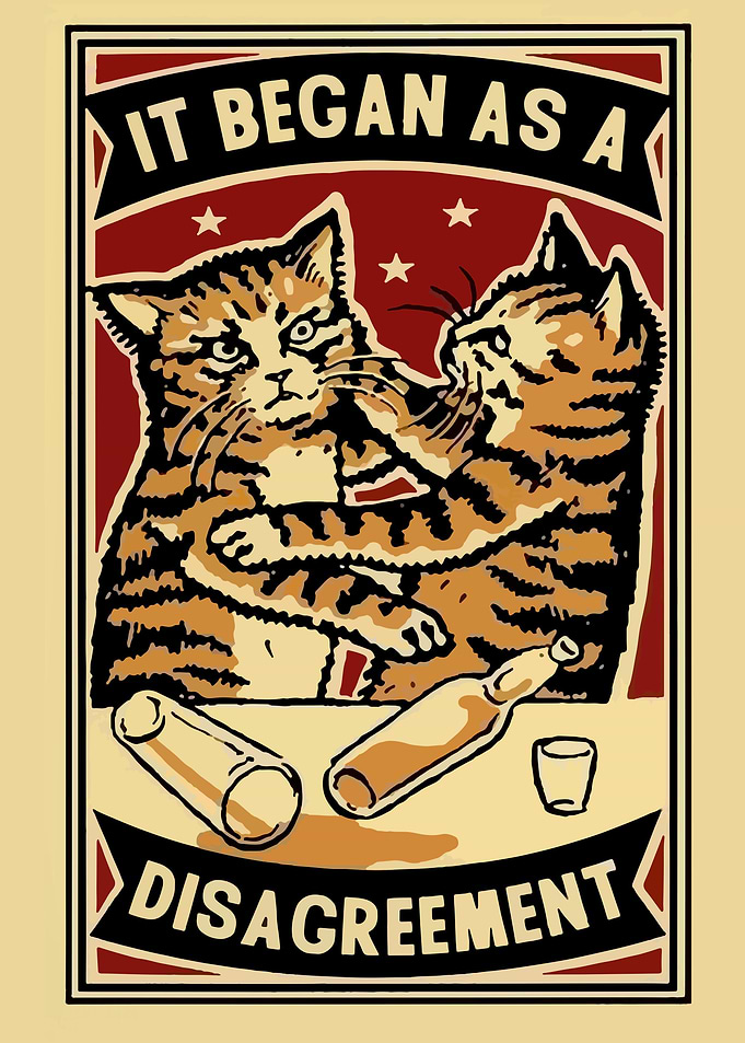 cat cute text cats