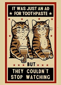 cats cute kitten animal