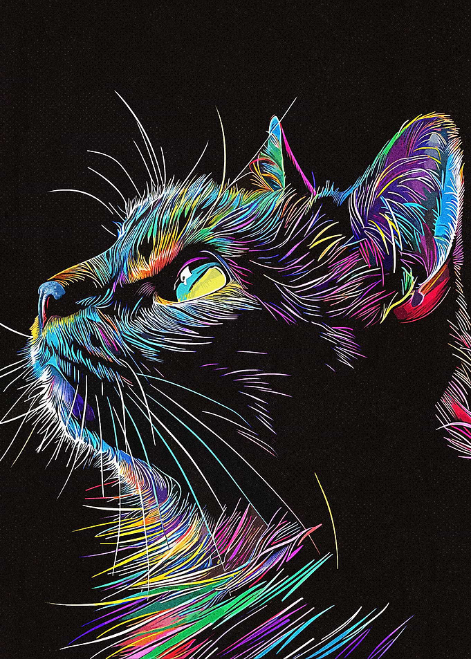 Line Art Colorful Cat