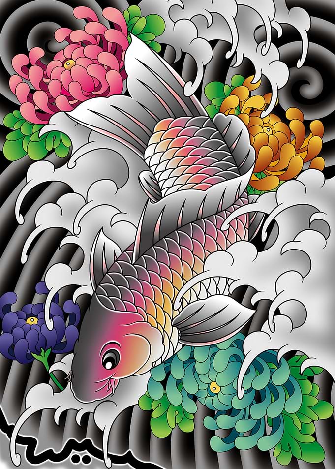 Koi Chrysanthemum flower
