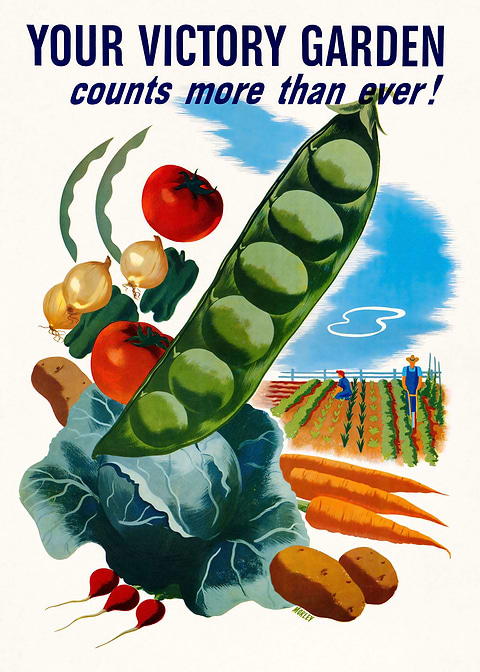 Your Victory Garden — vintage poster restored on metal