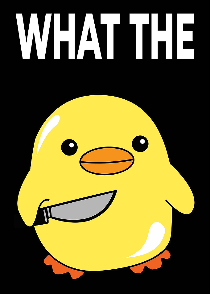 Funny Duck Animals