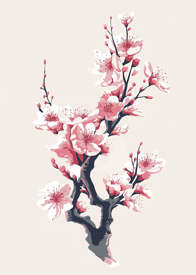 Branches cherry blossom