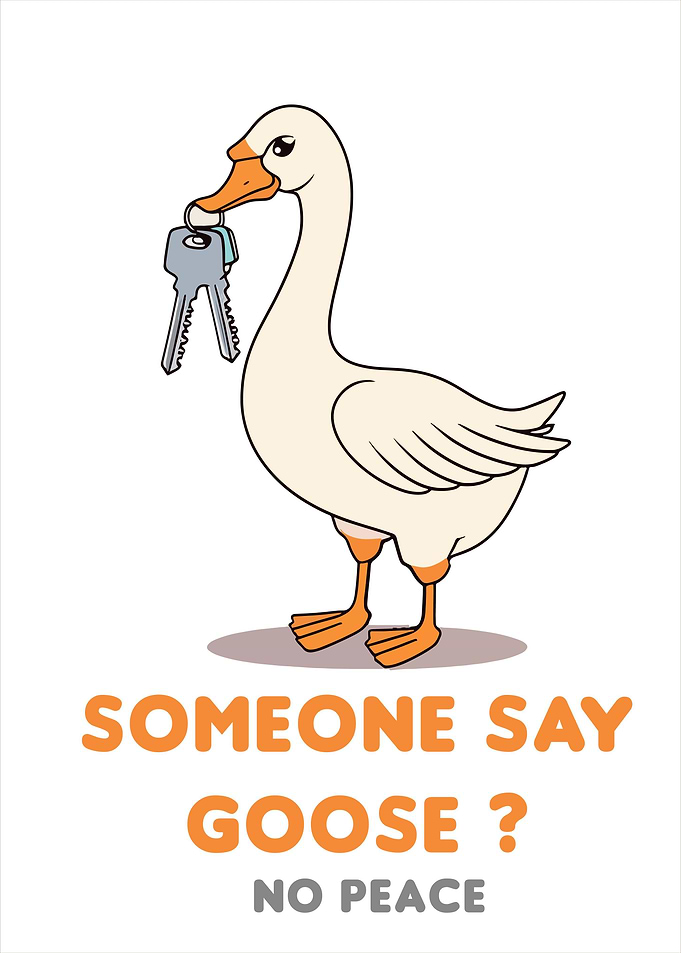 Goose Funny Someone Say