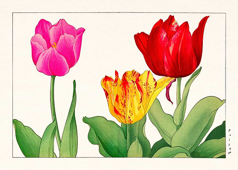 Tulip Elegance Art — Japanese art metal poster