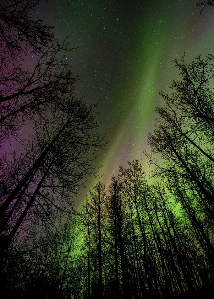 Northern Lights 5