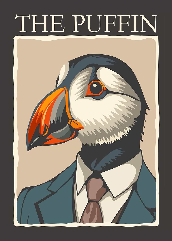 Puffin Bird Animal