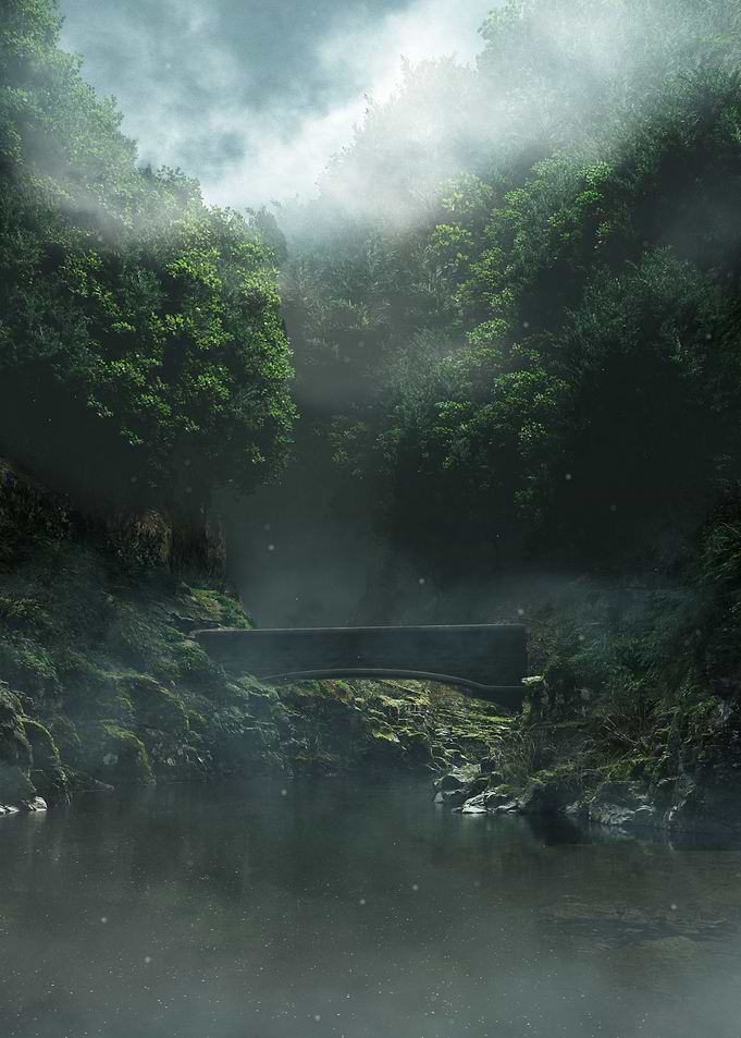 Forest Bridge