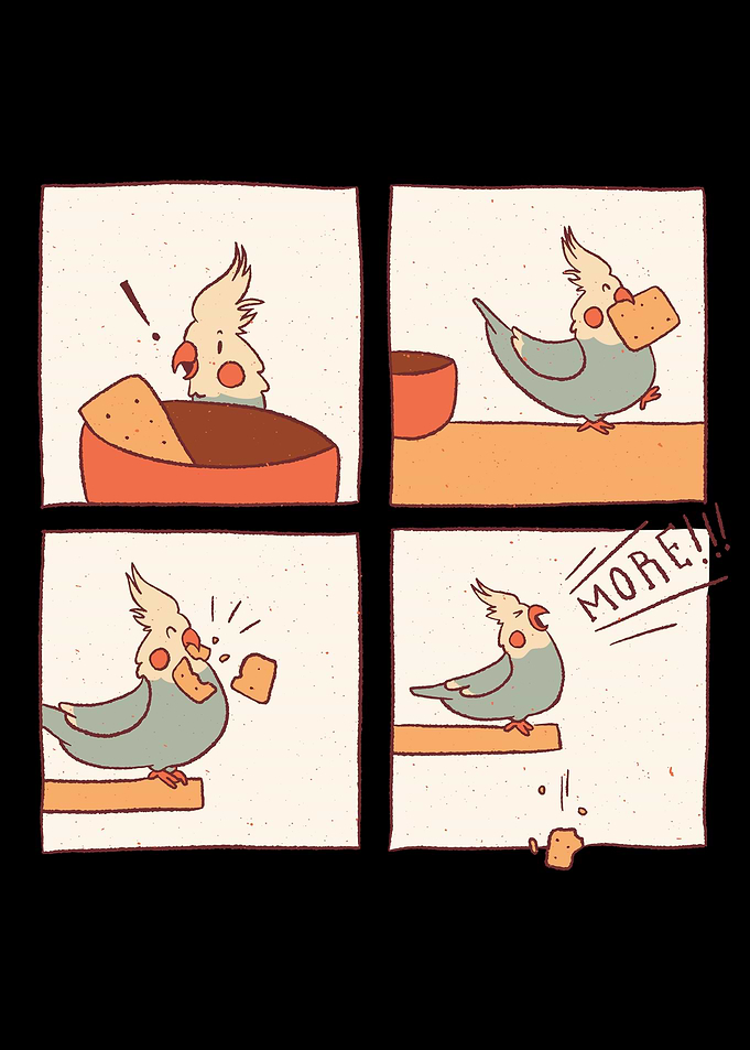 Cockatiel Bird Lover