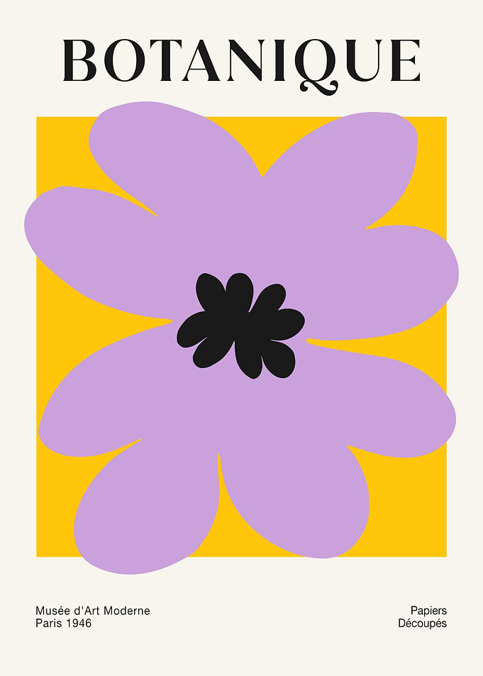 Lavender Big Flower