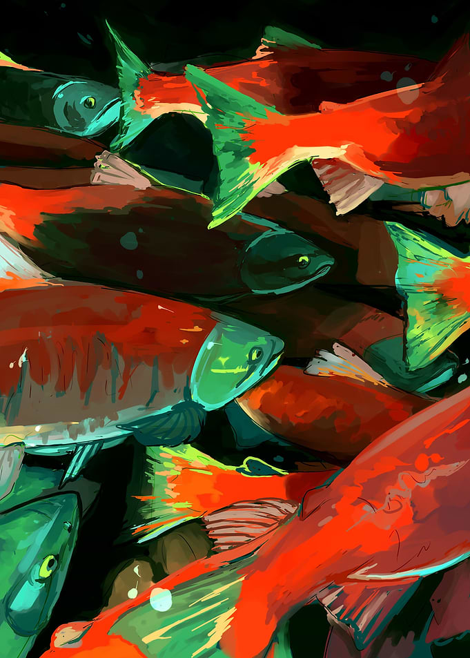 Salmon in the Dark
