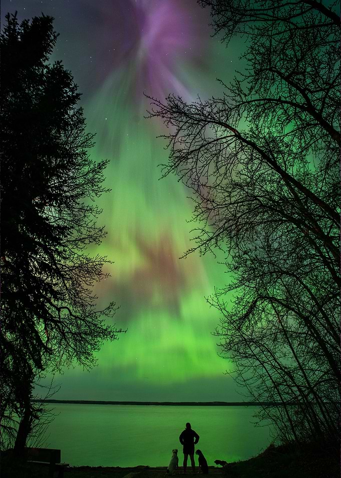 Aurora Witness