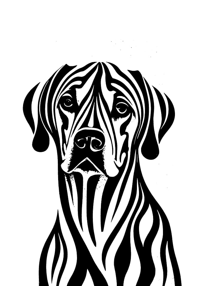 Dogs