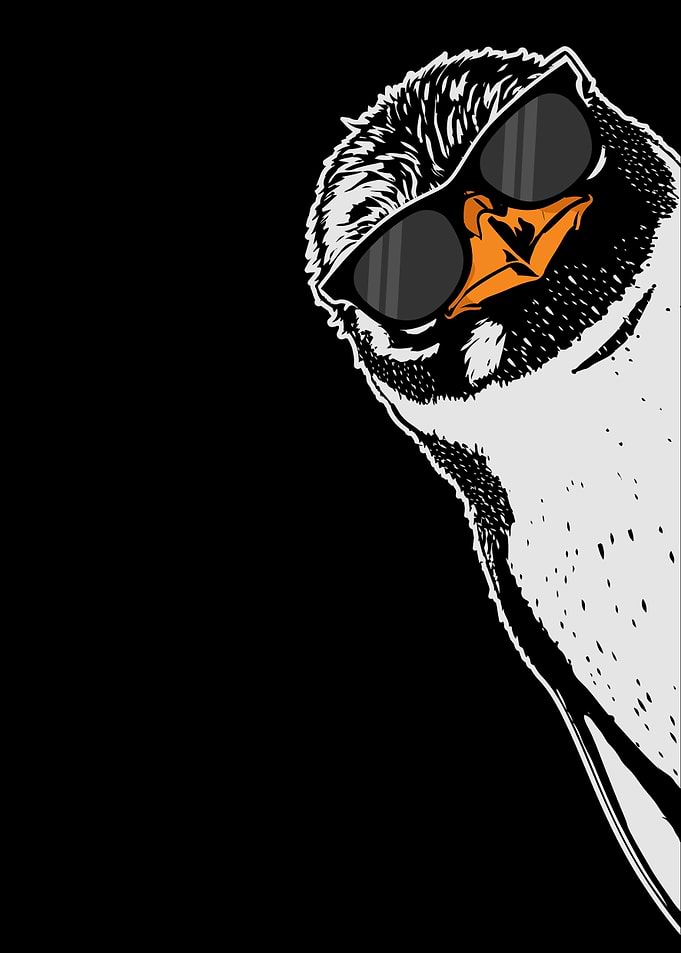 Cool Penguin Gift Kids