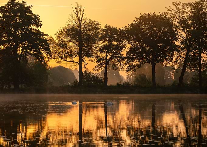 Sunrise