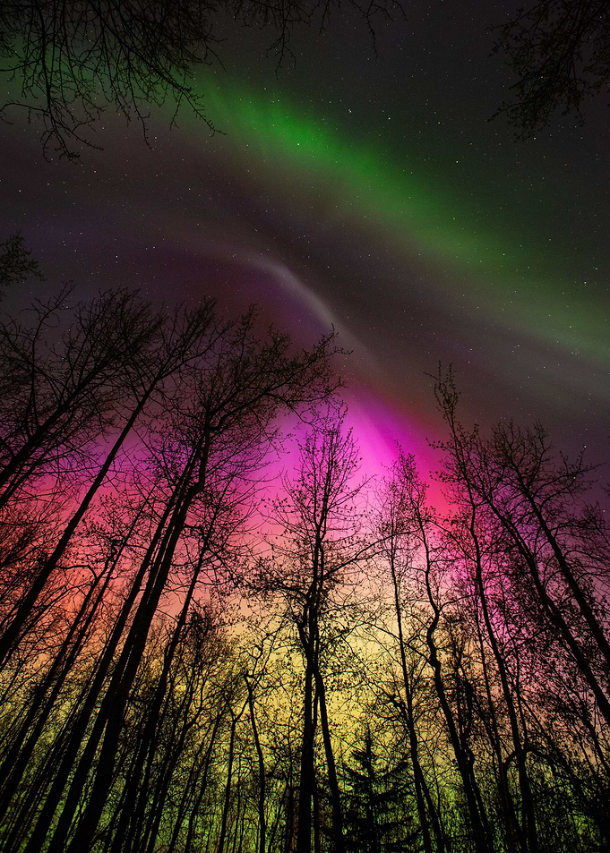 Northern Lights 3
