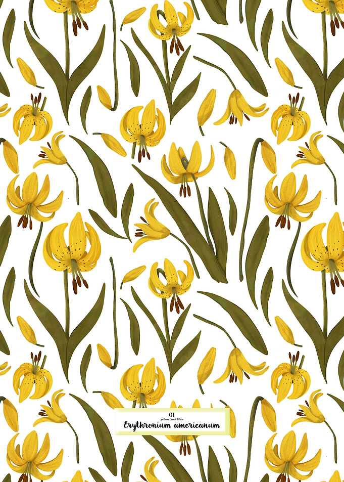 Yellow Trout Lilies