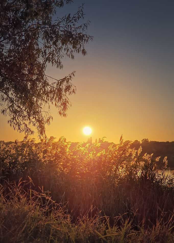 golden silence