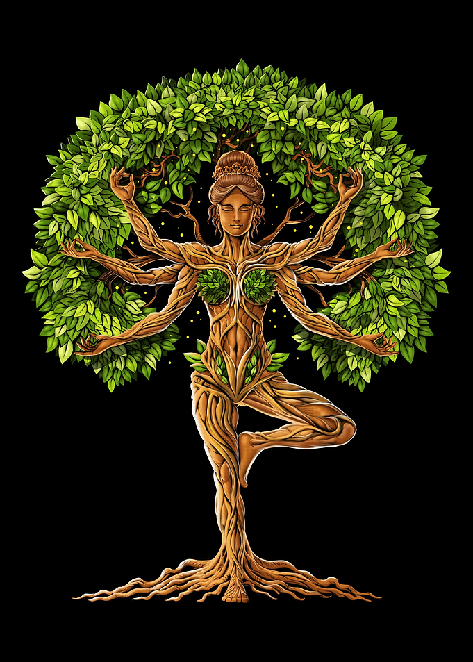 Tree Of Life Yoga Zen