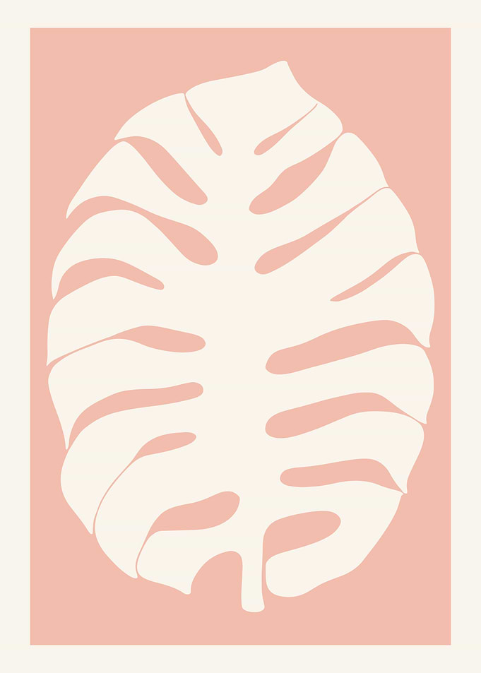 Monstera Big Leaf