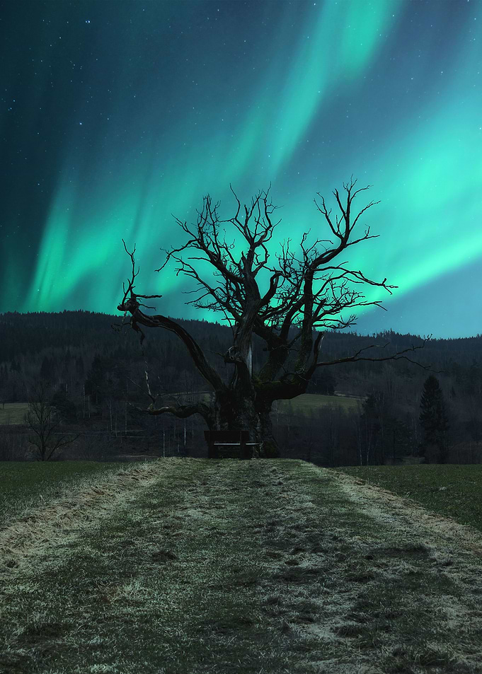 Aurora Borealis