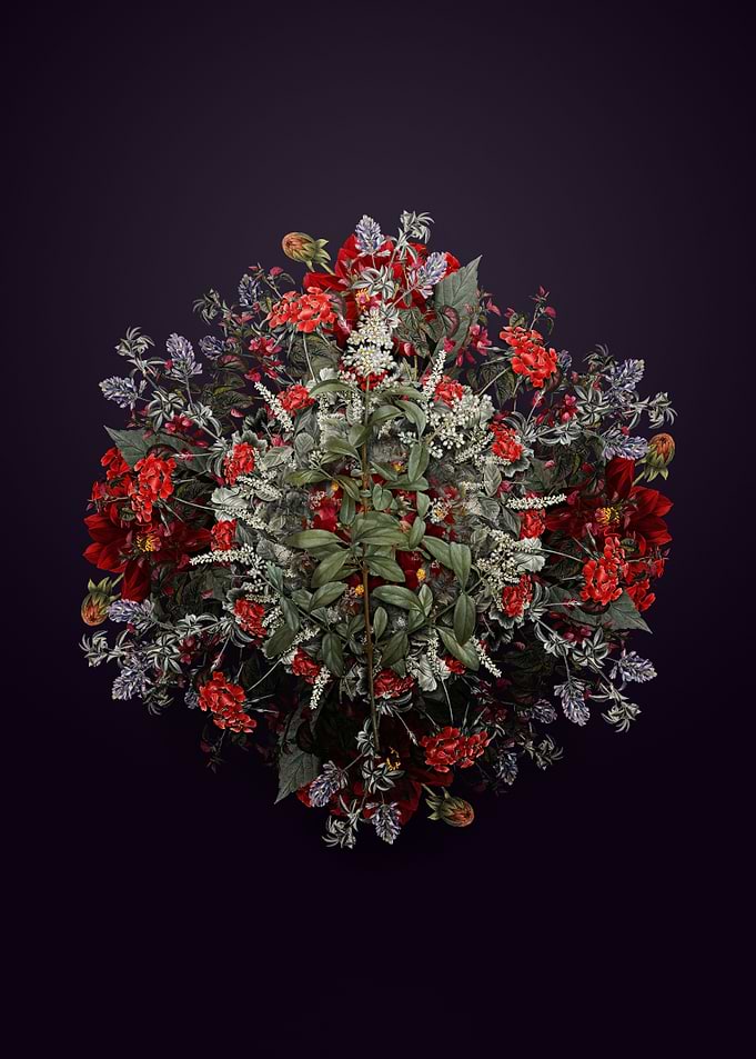 Wild Privet Flower Wreath