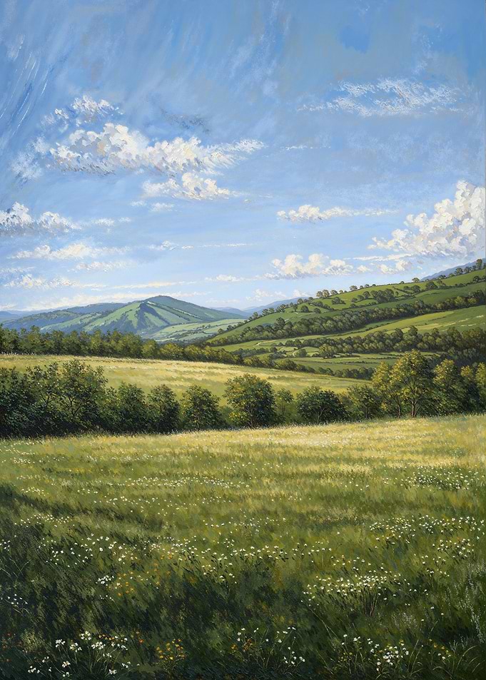 Sunny Meadow