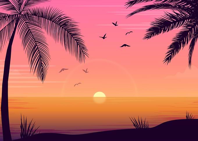 Summer Sunset Bliss