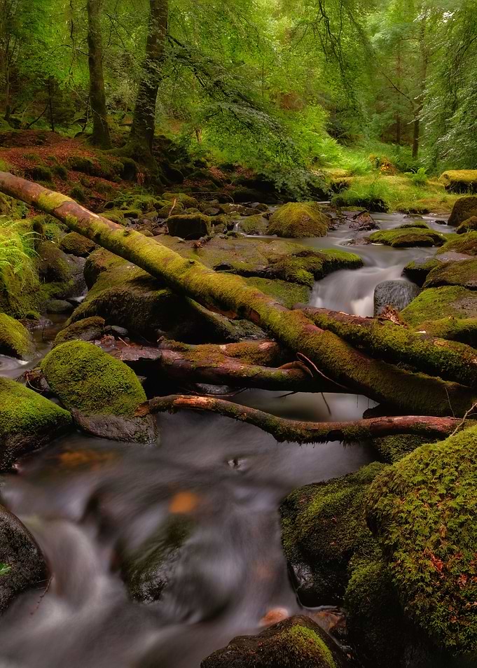 Mysterious creeks