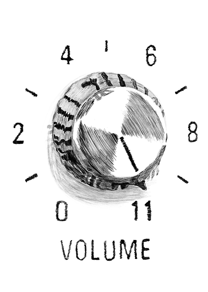 volume button Max