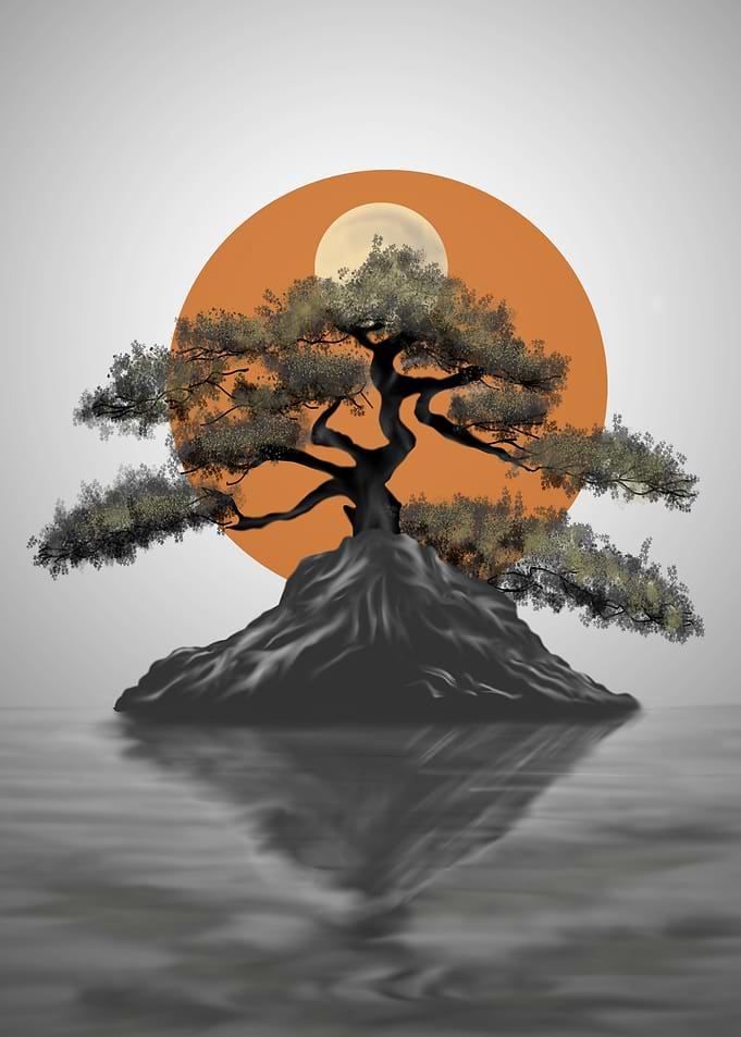 Bonsai in Silhouette