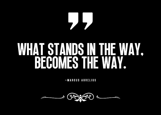 Marcus Aurelius Quote