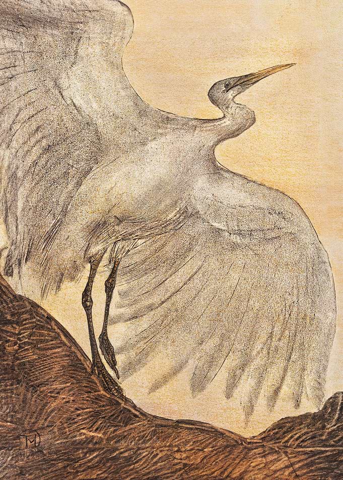 Egret